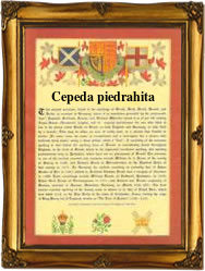 Surname Scroll